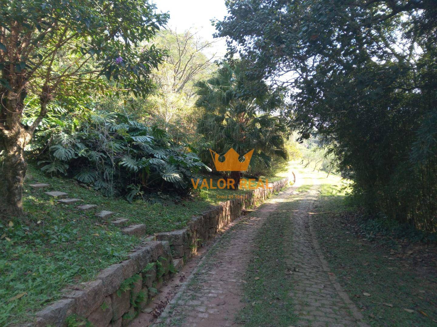 Sítio, 15 quartos, 10 hectares - Foto 18