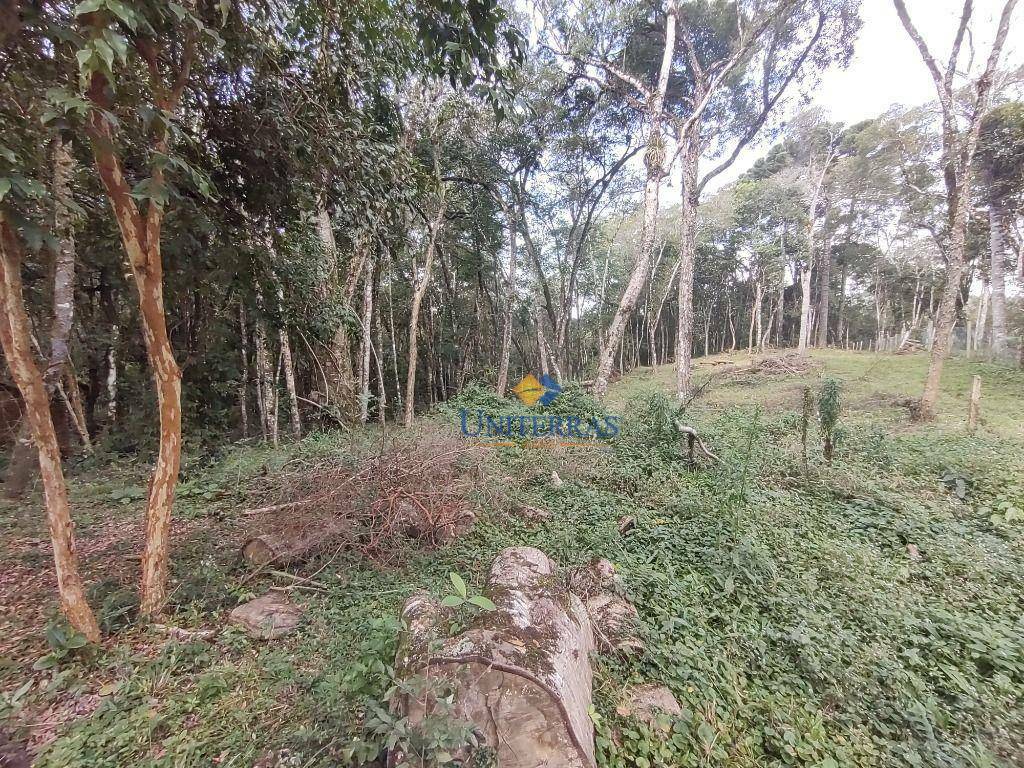 Chácara, 1 quarto, 1672 m² - Foto 19