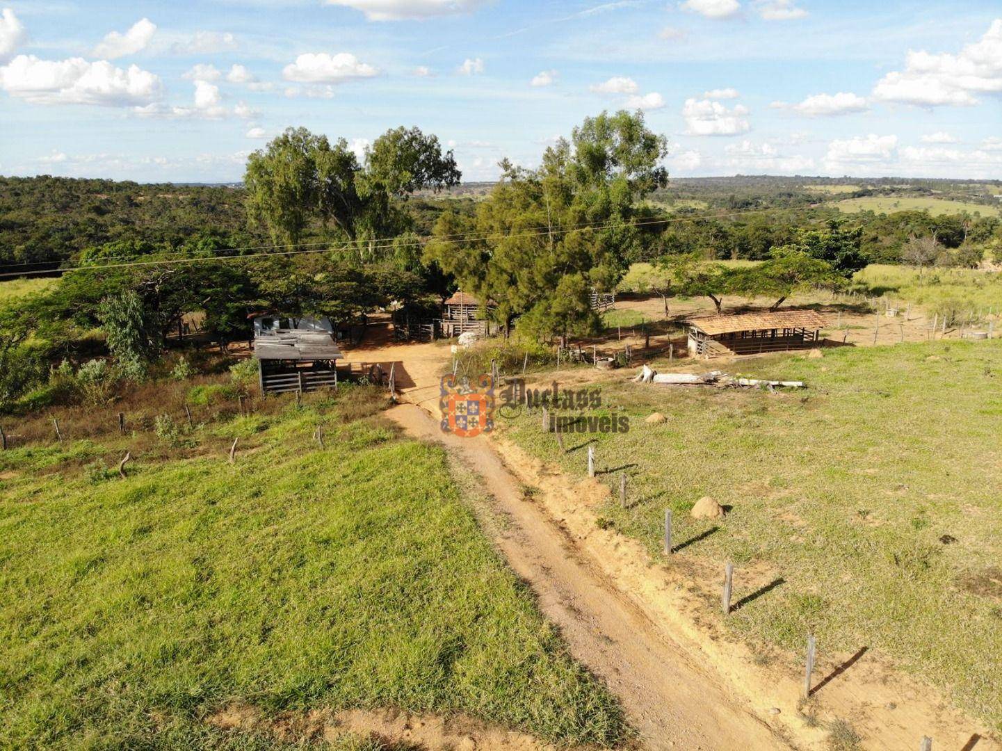 Fazenda, 31 hectares - Foto 2