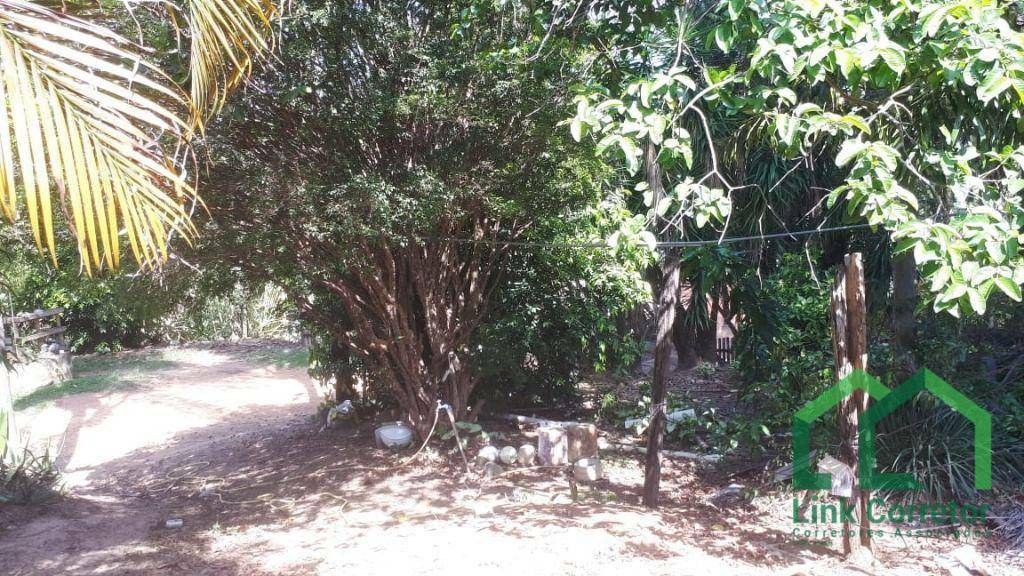 Chácara à venda com 2 quartos, 1268M2 - Foto 15
