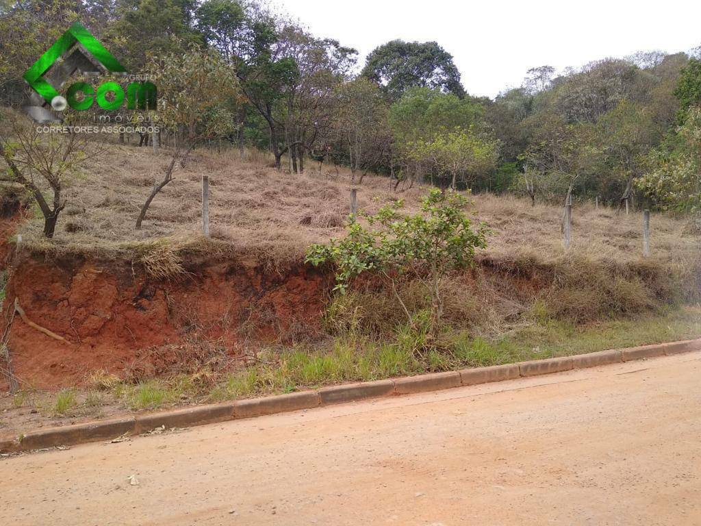 Loteamento e Condomínio à venda, 3600M2 - Foto 6