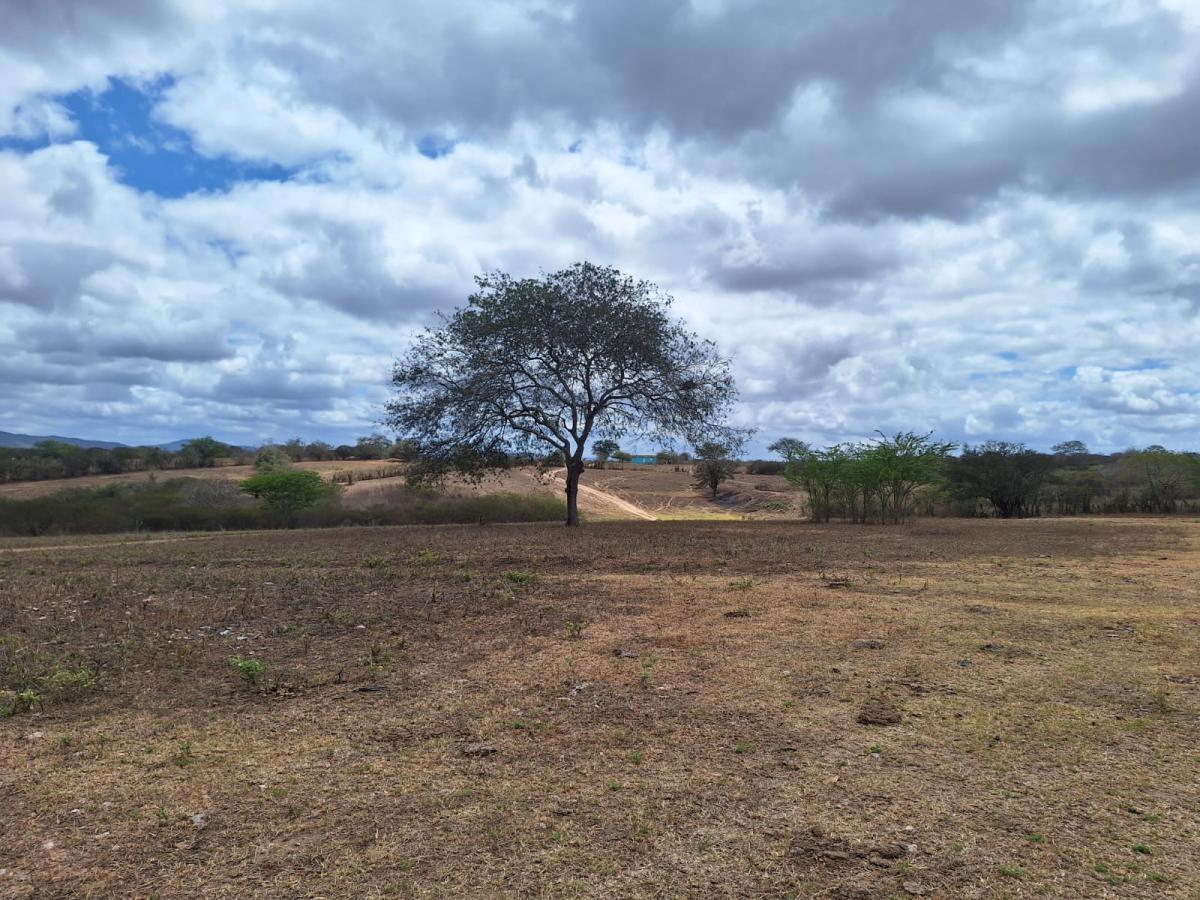 Chácara à venda com 4 quartos, 4m² - Foto 17