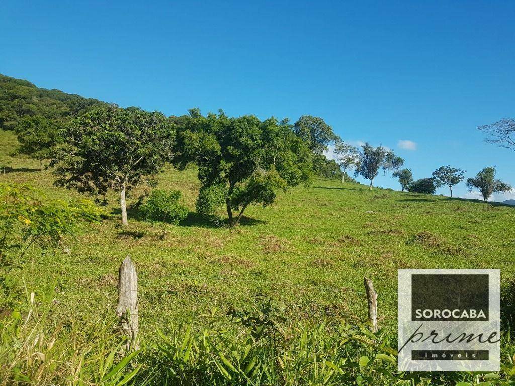 Fazenda à venda, 202000M2 - Foto 16