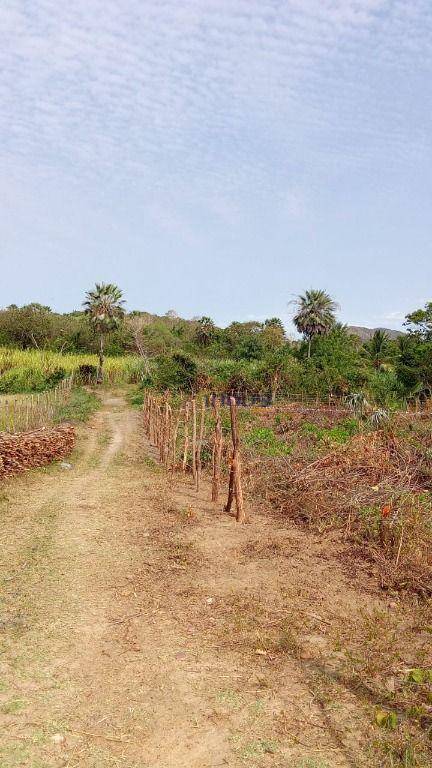 Terreno, 1750 m² - Foto 7