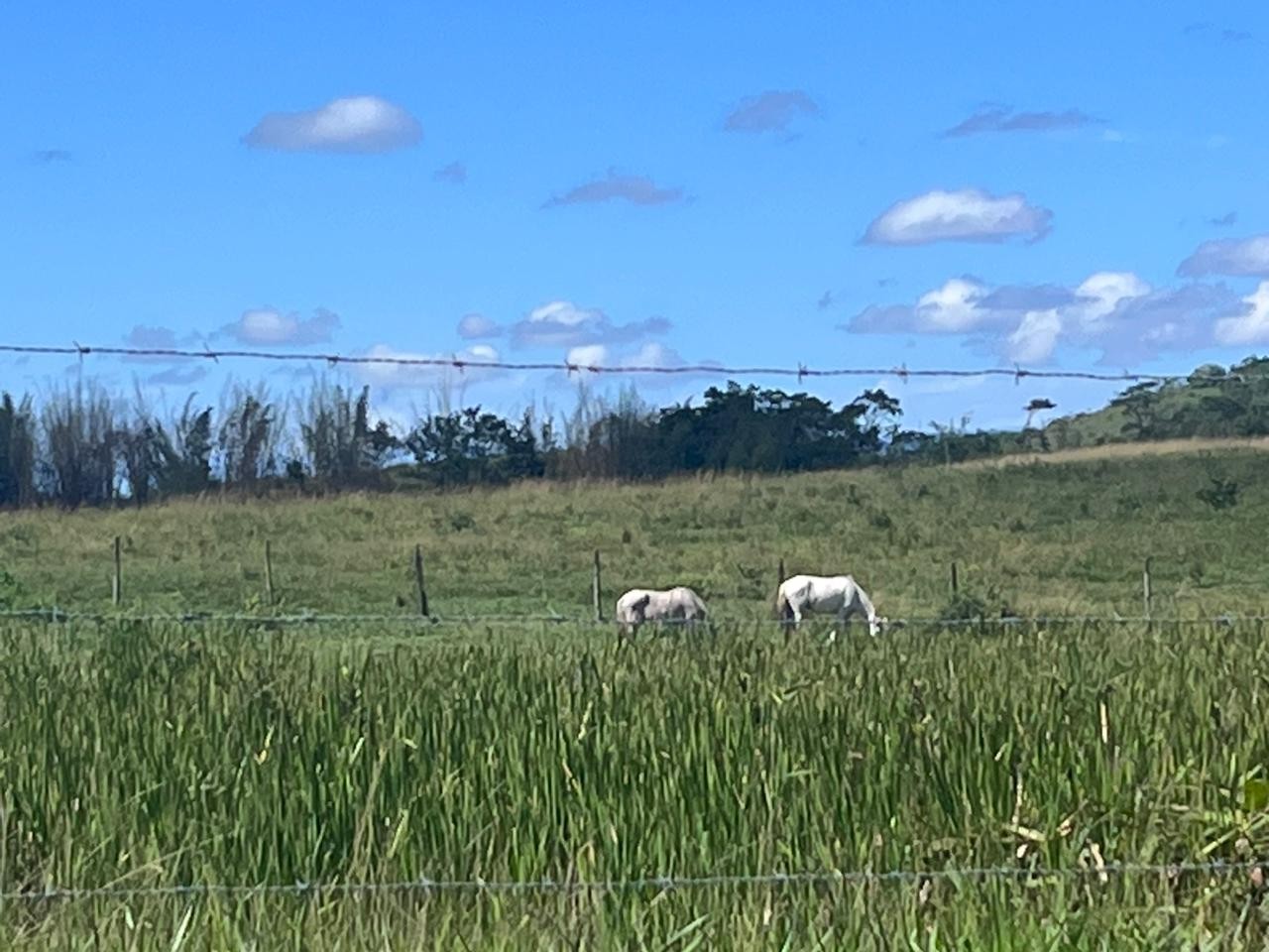 Fazenda à venda, 48400m² - Foto 27