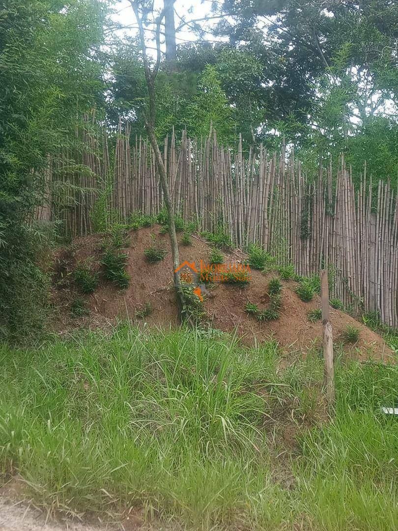 Terreno à venda, 4000M2 - Foto 7