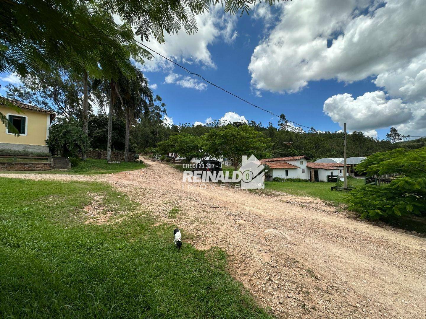Sítio à venda com 3 quartos, 2920m² - Foto 4