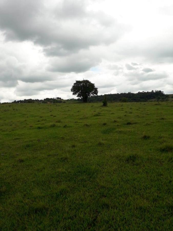 Terreno à venda, 60000m² - Foto 22