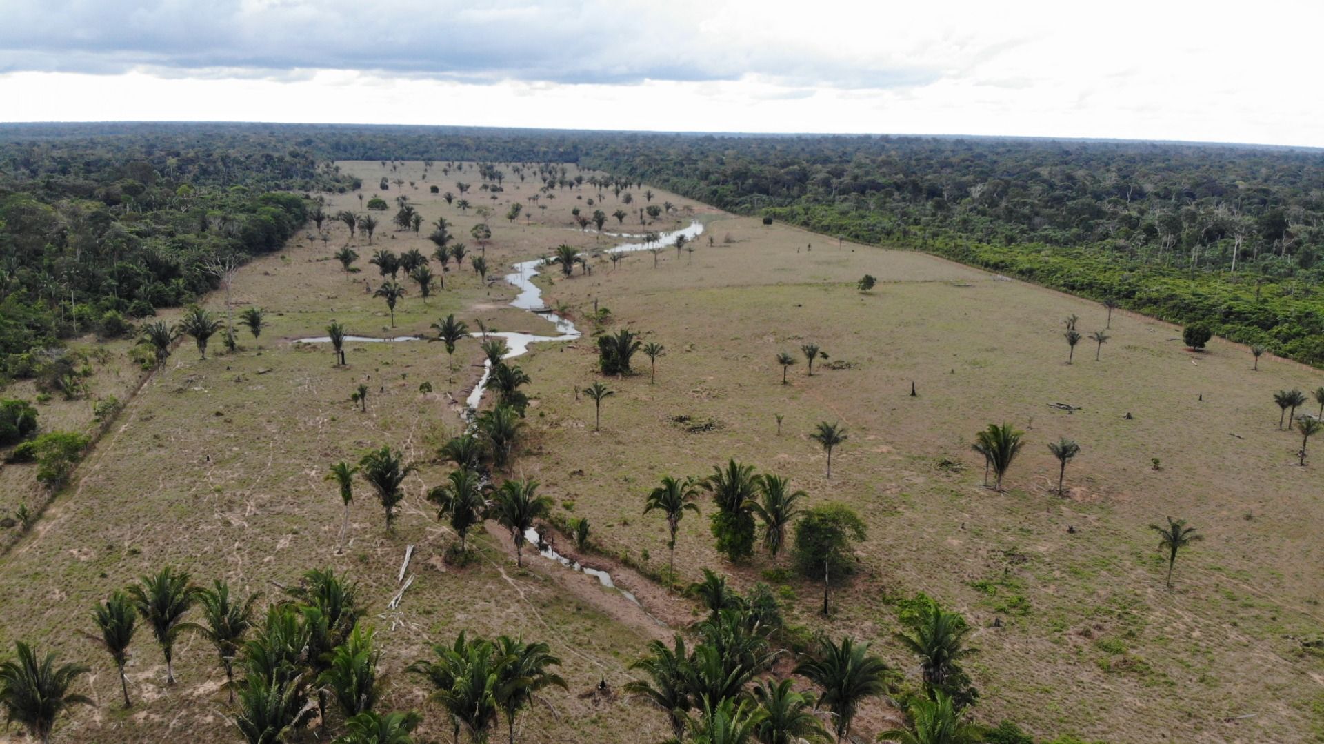 Fazenda à venda, 4840000M2 - Foto 10