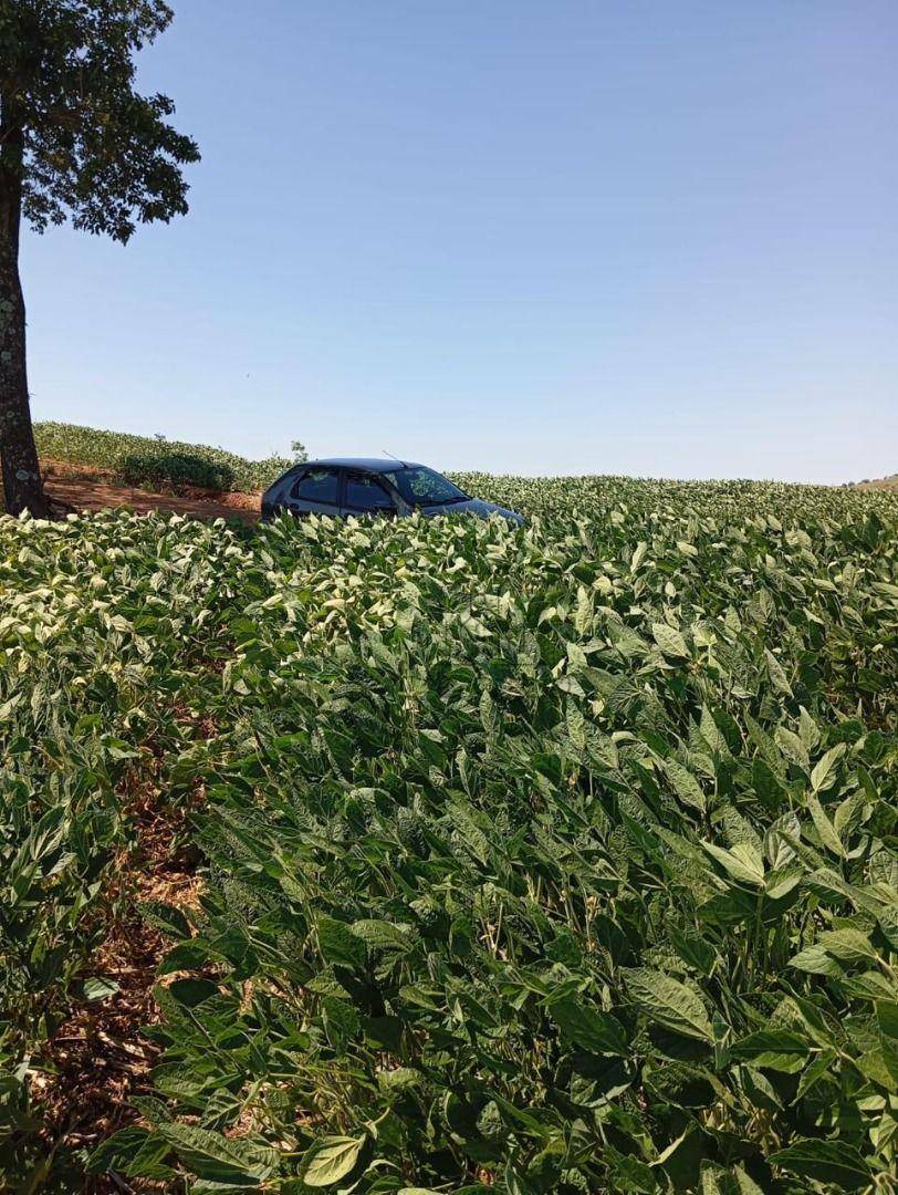 Sítio, 234256 hectares - Foto 1