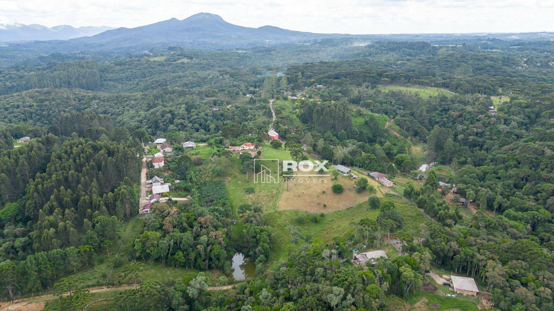 Chácara à venda com 10 quartos, 34360M2 - Foto 14