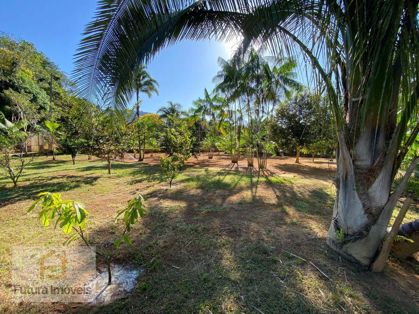 Chácara à venda com 3 quartos, 6000M2 - Foto 17