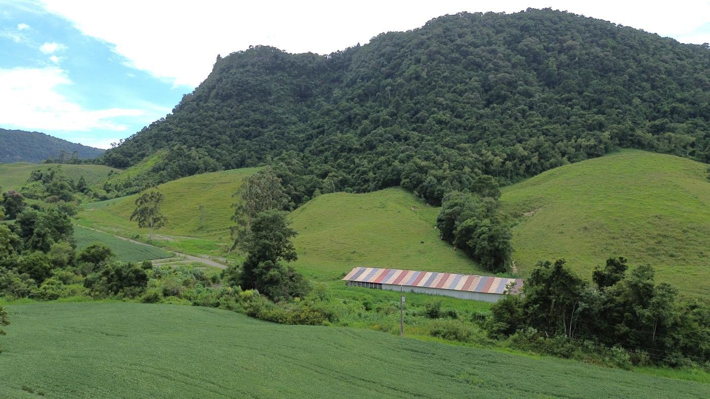 Fazenda à venda com 5 quartos, 450000m² - Foto 2