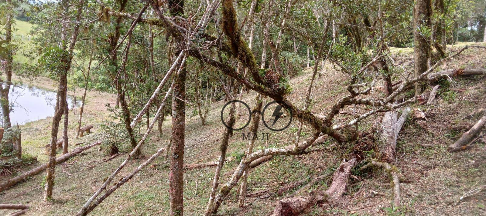 Chácara à venda, 3000M2 - Foto 5