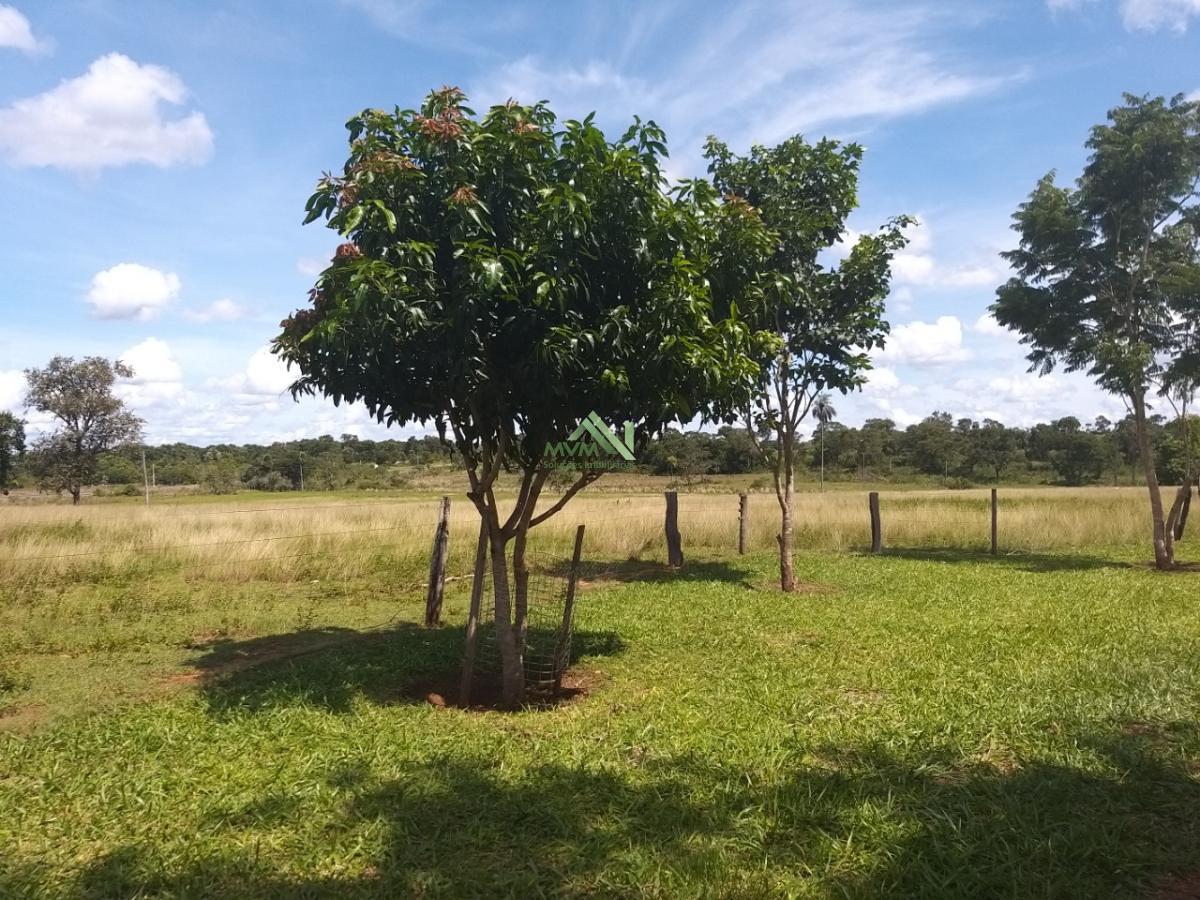 Fazenda à venda com 4 quartos, 430000m² - Foto 20