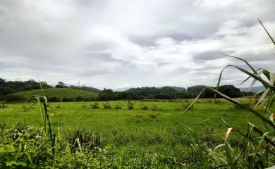 Fazenda à venda com 2 quartos, 200000m² - Foto 12