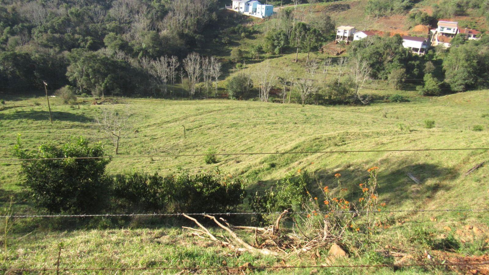 Terreno à venda, 20000m² - Foto 14