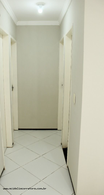 Apartamento para alugar com 3 quartos, 70m² - Foto 12