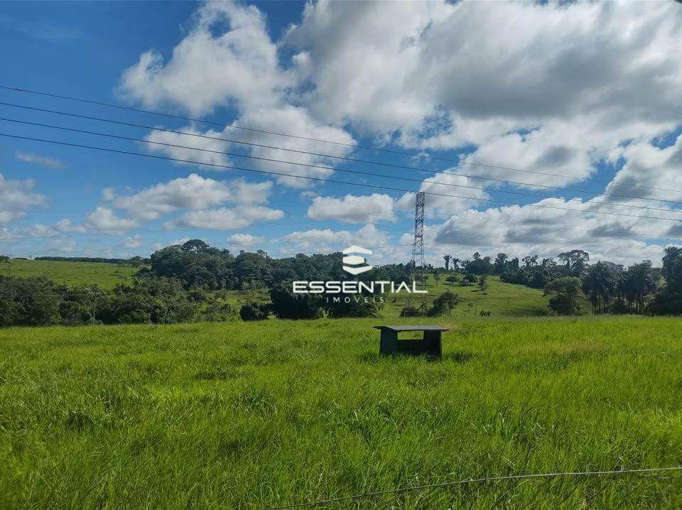 Sítio à venda com 3 quartos, 30250M2 - Foto 4