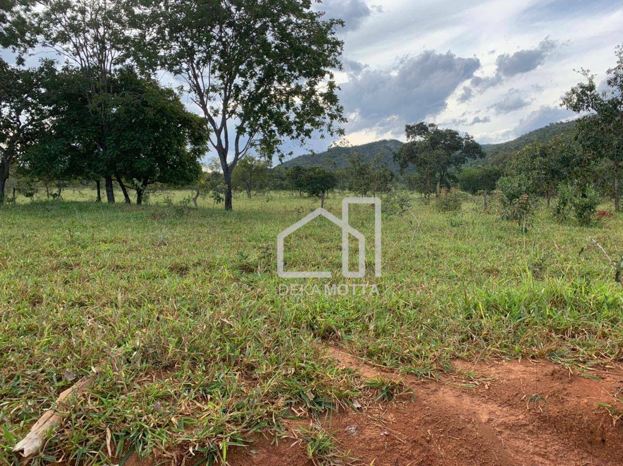 Fazenda à venda com 3 quartos, 21217700000M2 - Foto 20