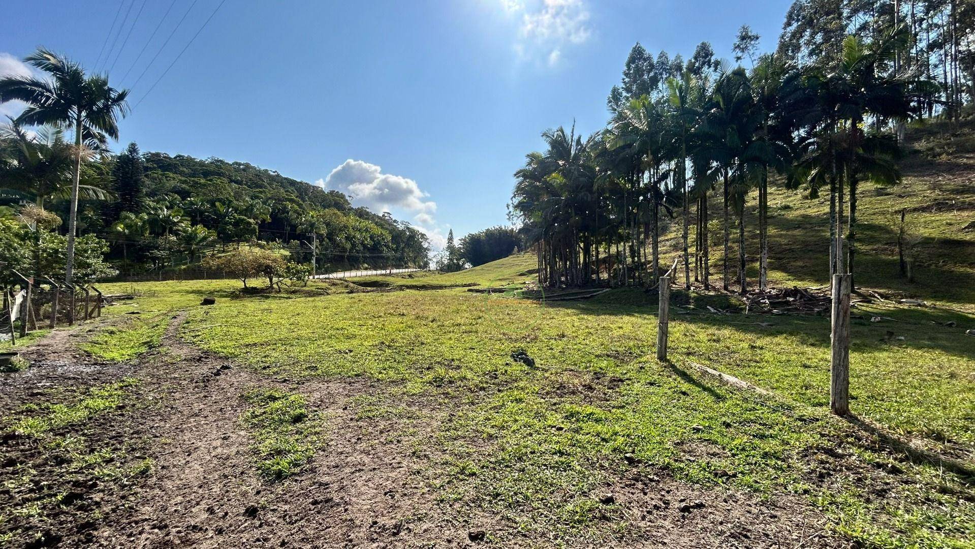 Sítio, 10000 m² - Foto 11