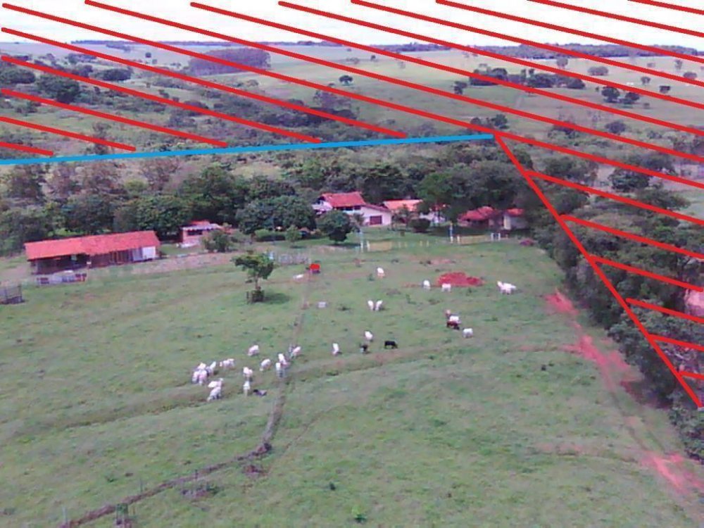 Sítio, 41 hectares - Foto 10