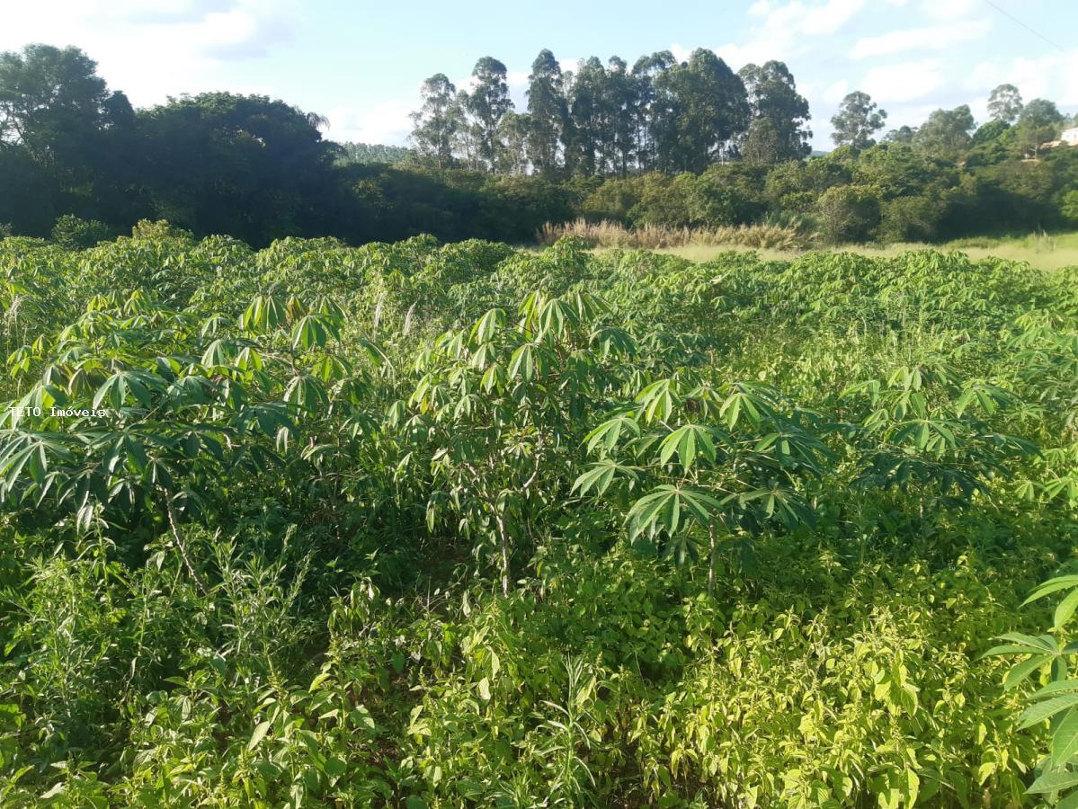 Fazenda à venda com 2 quartos, 10000m² - Foto 22