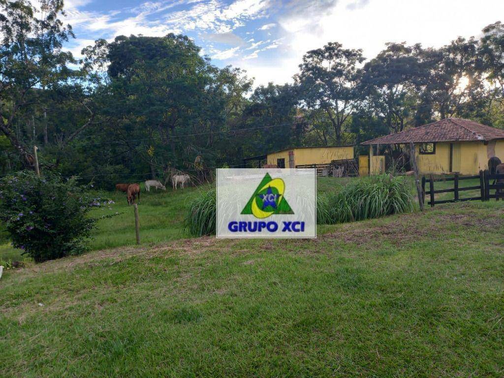 Fazenda à venda com 4 quartos, 1452000M2 - Foto 20