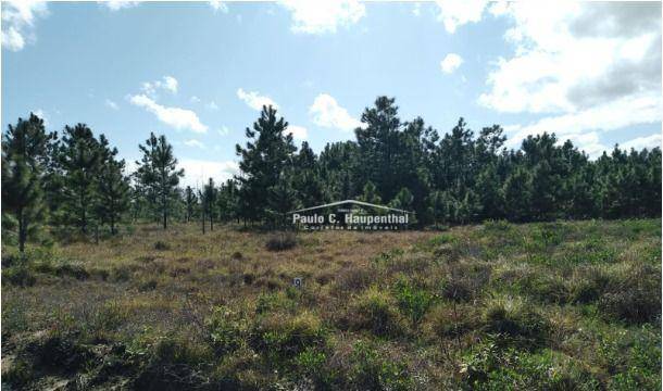 Terreno, 300 m² - Foto 2