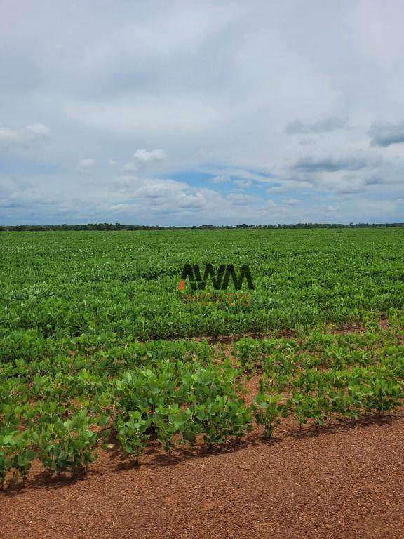 Fazenda à venda, 5130400M2 - Foto 5