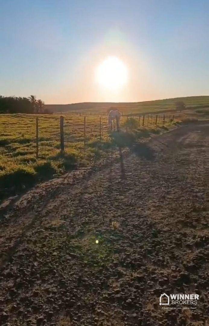 Chácara, 2 hectares - Foto 1