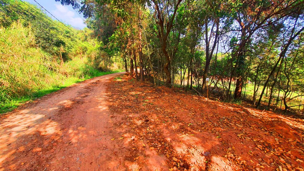 Terreno à venda, 490m² - Foto 2