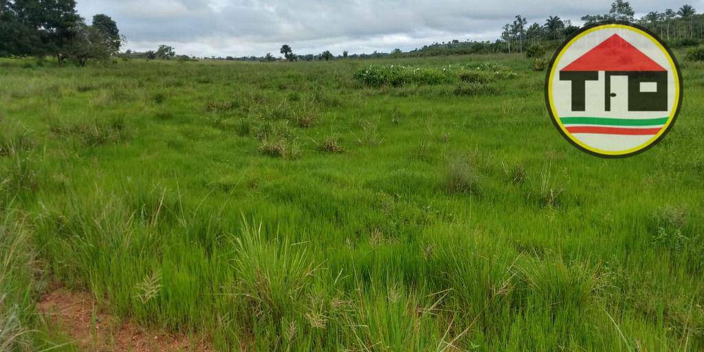 Fazenda, 145 hectares - Foto 19