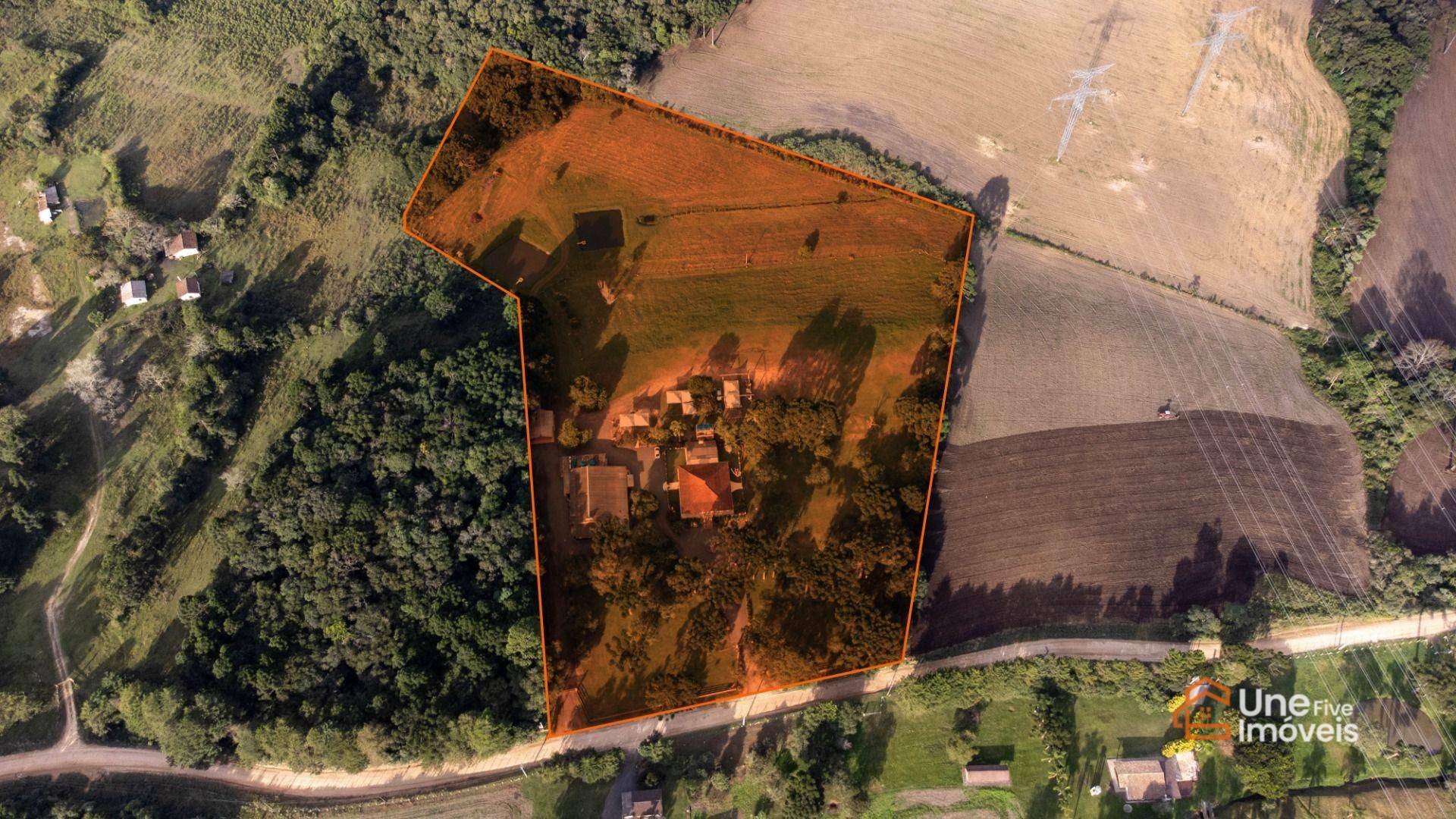 Chácara, 4 quartos, 4 hectares - Foto 5