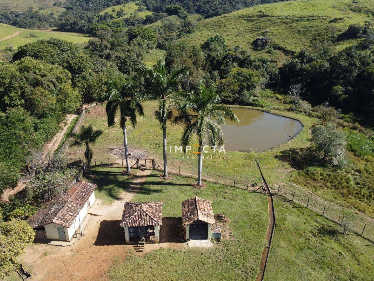 Fazenda à venda com 5 quartos, 450m² - Foto 78