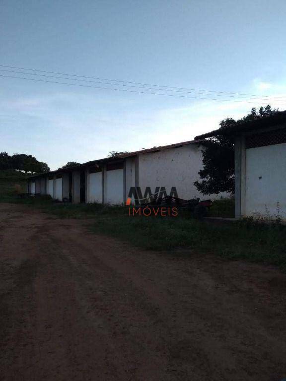 Fazenda-Sítio-Chácara, 16000 hectares - Foto 5