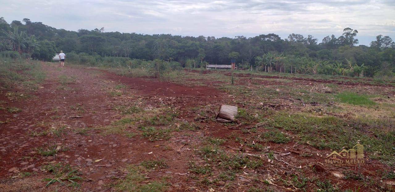 Chácara à venda com 4 quartos, 150m² - Foto 1