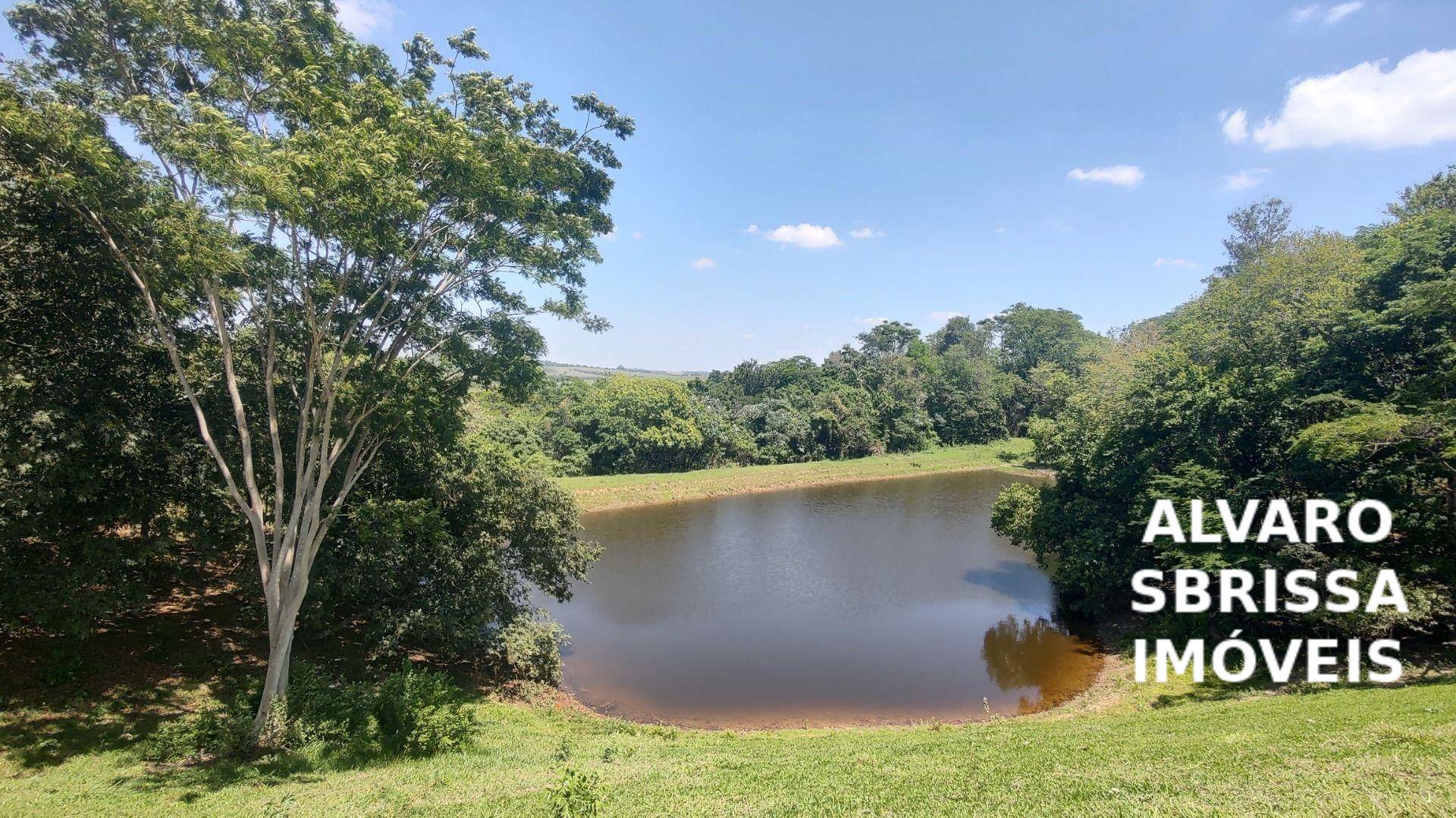 Sítio, 6 quartos, 11 hectares - Foto 4