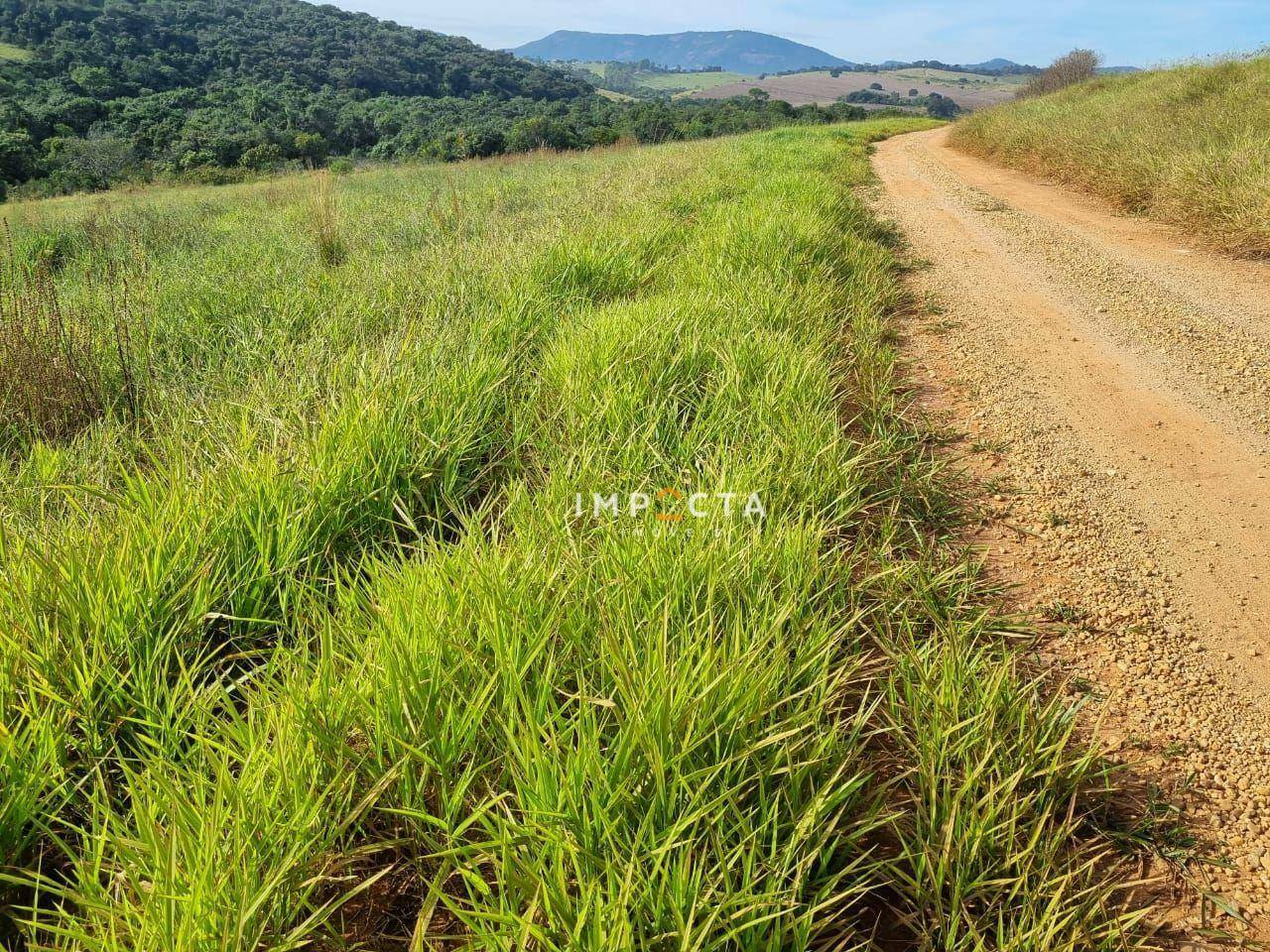 Terreno à venda, 1597200M2 - Foto 19