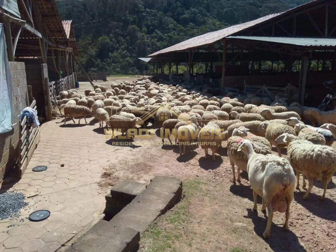 Fazenda à venda, 60m² - Foto 5