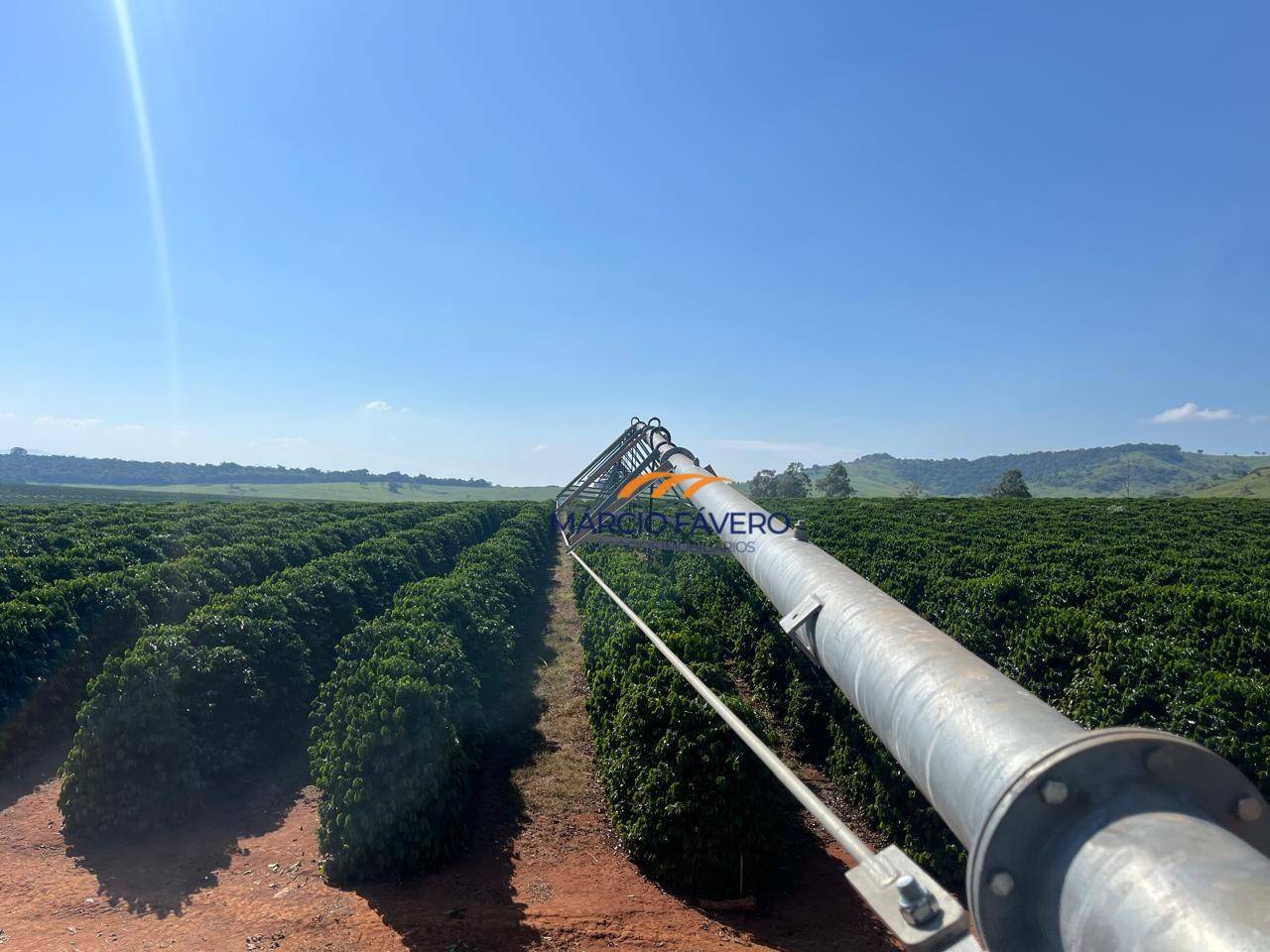 Fazenda à venda, 970000M2 - Foto 5