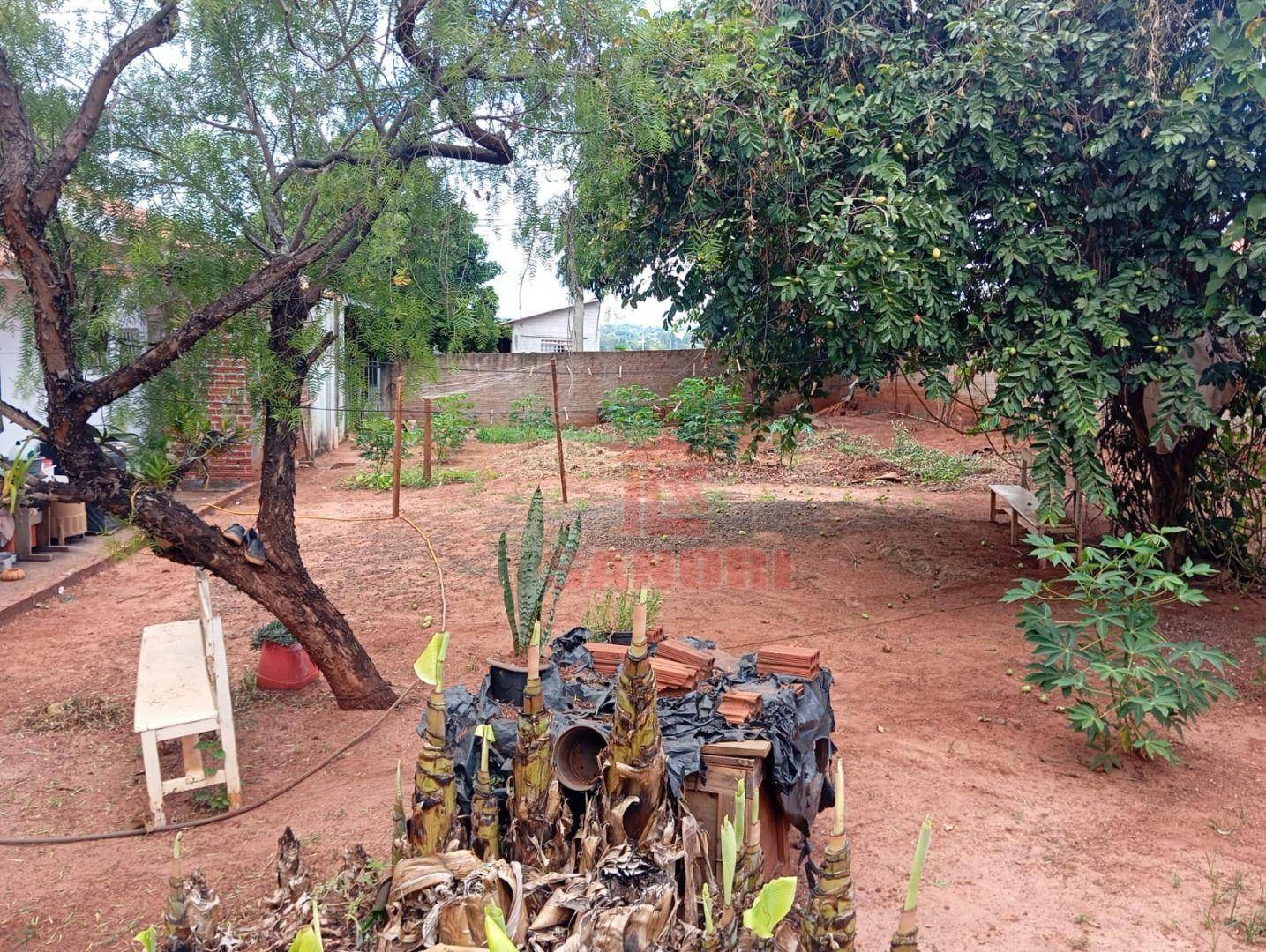 Terreno, 250 m² - Foto 5