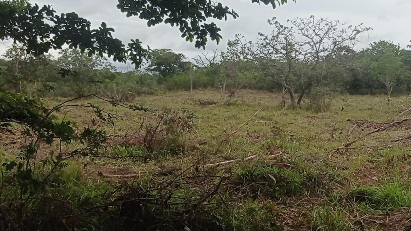 Chácara à venda, 26000m² - Foto 21