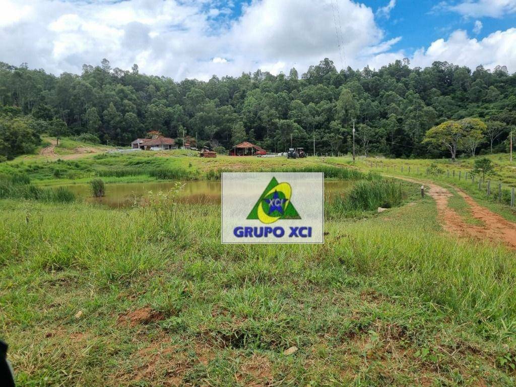 Fazenda-Sítio-Chácara, 250 hectares - Foto 4