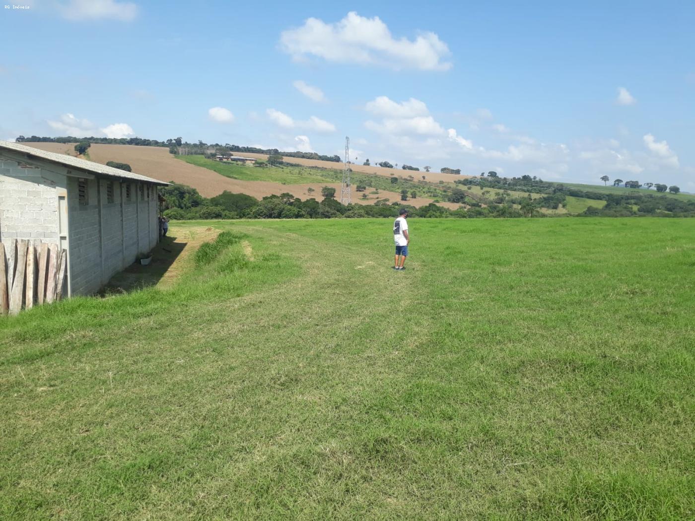 Sítio à venda com 2 quartos, 266400m² - Foto 10