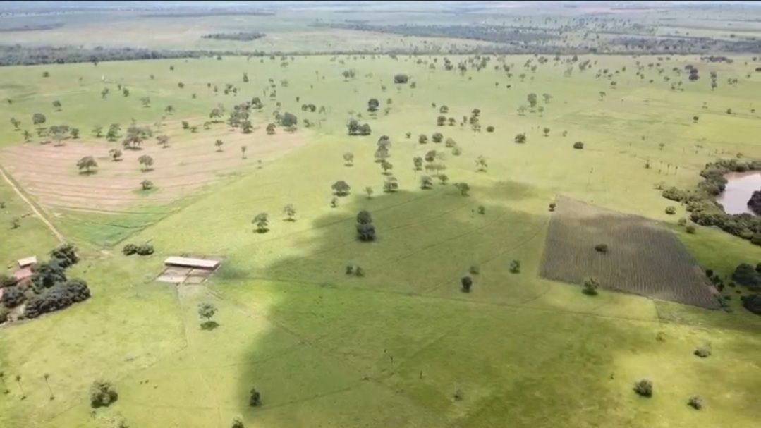 Fazenda-Sítio-Chácara, 726 hectares - Foto 4