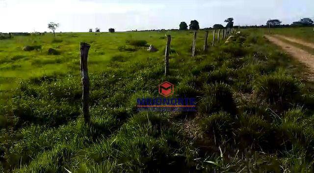 Fazenda à venda com 1 quarto, 22120000M2 - Foto 10