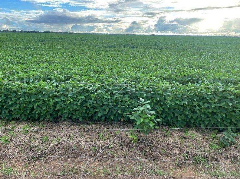 Fazenda-Sítio-Chácara, 17125 hectares - Foto 1