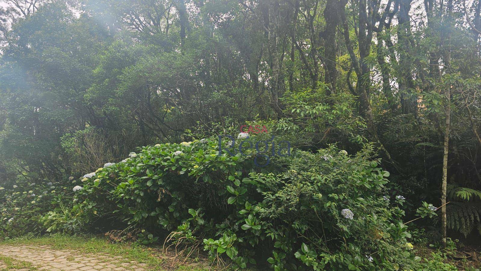 Loteamento e Condomínio à venda, 4210M2 - Foto 6