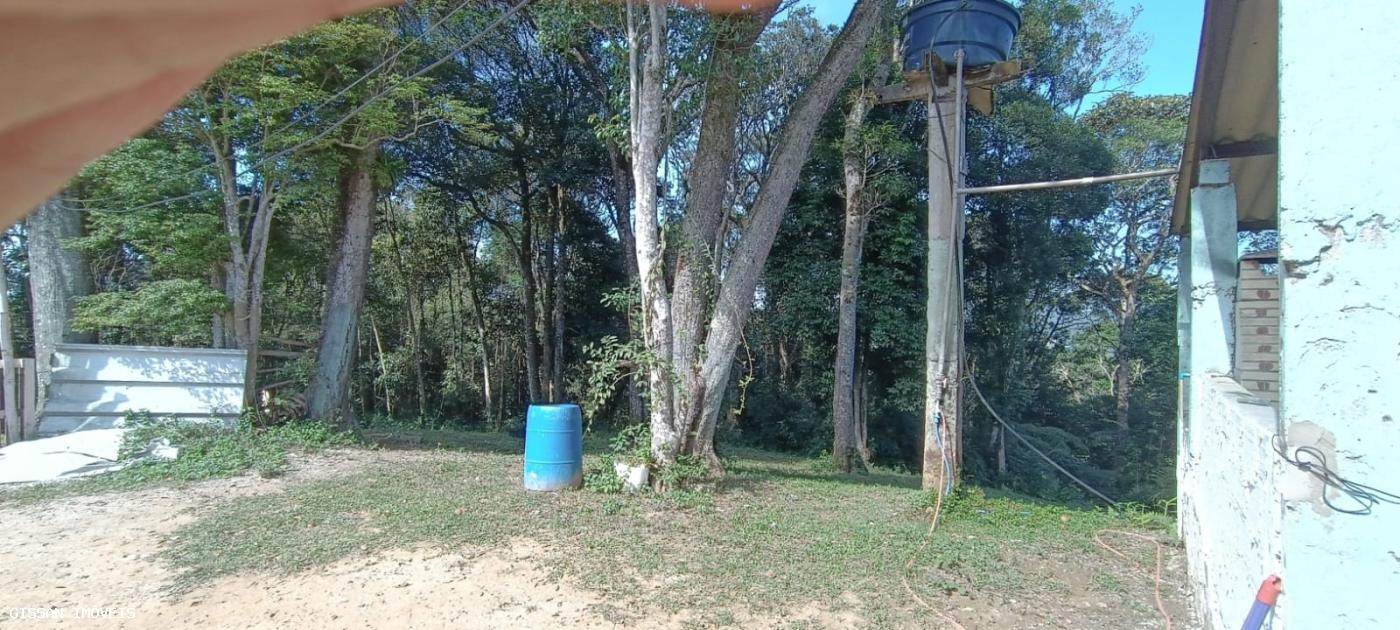 Fazenda à venda com 2 quartos, 4000m² - Foto 3